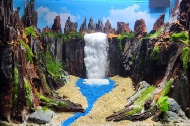 New Ideas For Decorating Aquariums With Waterfalls