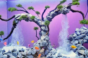 How to Build A Beautiful Waterfall Aquarium