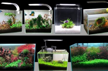 Top 7 How To Make Mini Planted Aquarium Fish Tank At Home - DIY Aquascape Decoration Ideas #166