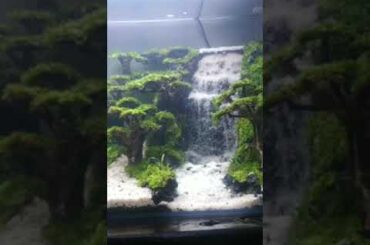 DIY Sand Waterfall Aquarium 2 - Ploors and 3 Water Flows