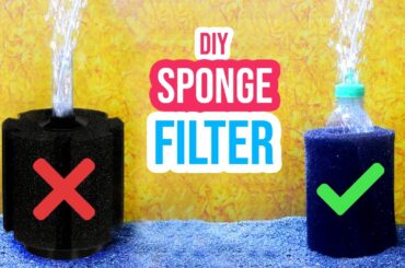 DIY Sponge Filter for Fish Tank | DIY Aquarium Filter