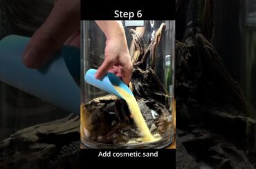 No Filter XXL Vase Aquarium (Step by Step)