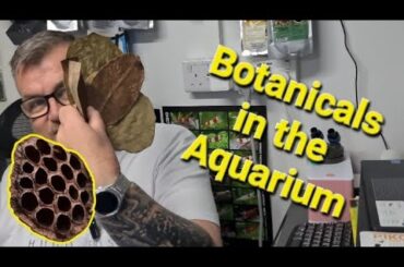 Botanical In The Aquarium!!!!
