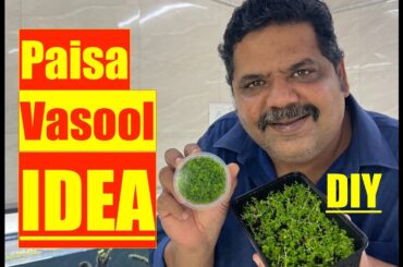 How to Grow Aquarium Plants FREE | Mayur Dev Aquascaper | DIY Ideas | Money Sever Ideas