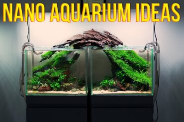 Nano Aquarium Ideas