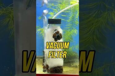 Save money using DIY Vacuum Aquarium Filter | #howto make filter