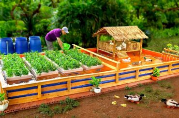 3in1 design! Build aquarium jointed with fresh vegetables and duck coop