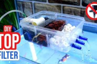 Create a Customized DIY Top Filter for Your Unique Aquarium Needs