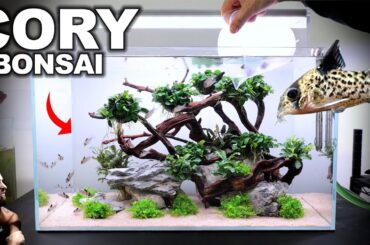 The Cory Bonsai Tree Tank w/ Endler Guppies