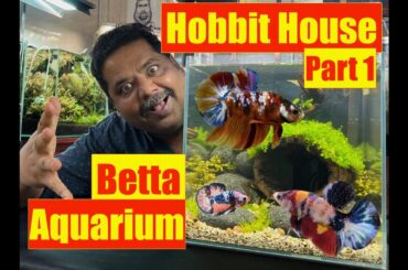 Hobbit House Betta Aquarium & Carpet Plant | Mayur Dev Aquascaper | DIY IDEAS |  PART ONE 4K