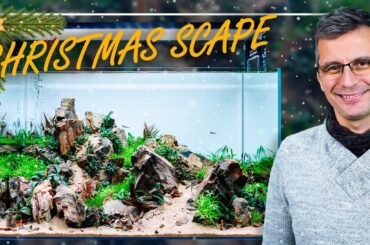 A Very SPECIAL CHRISTMAS Planted Aquarium | XmasScape