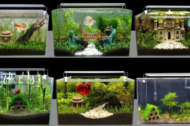 Top 8 DIY Mini Aquarium Decoration Ideas How To Make Aquascape Fish Tank At Home Ideas MR DECOR #186