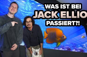 24.000L Aquarium-KATASTROPHE - Was ist bei JACK ELLIOT passiert?!