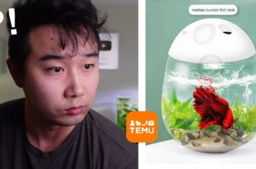Fish Tanks are getting crazy | Fish Tank Review 235