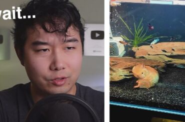 WTF am I watching?! | Fish Tank Review 236