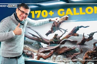170+ Gallon NATURE Planted Aquarium with DRIFTWOOD | Part One - Hardscape