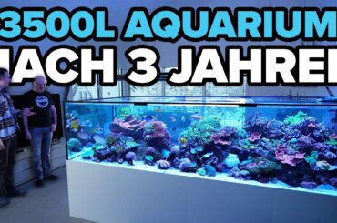 DESWEGEN kennt jeder dieses Aquarium! - 3500 Liter Update nach 3 Jahren