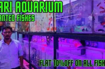 Pari Aquarium Fish Shop | All  Planted Aquarium Fish | Rare and Exotic Guppies | Kurla Fish