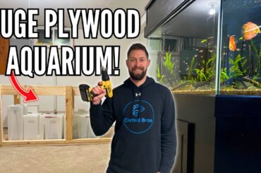 Building the DIY Plywood Aquarium - Just How Big Is It?