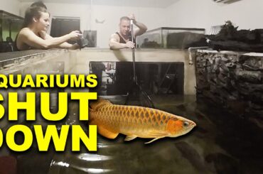 I SHUT DOWN my aquariums - The king of DIY