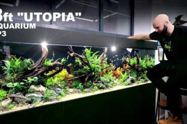Building Utopia: 8ft Planted Aquarium (FINAL)