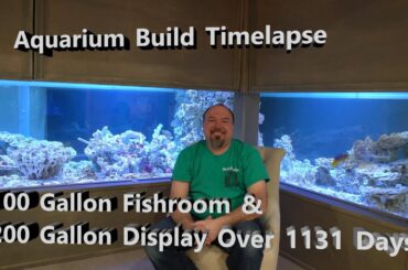 Aquarium Build Timelapse: Fishroom and Display