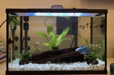 Tank makeover