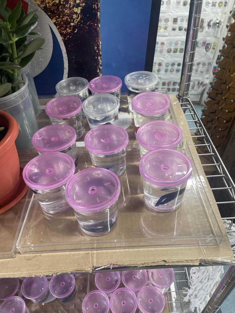 I wish can take them all home 🏡🥺