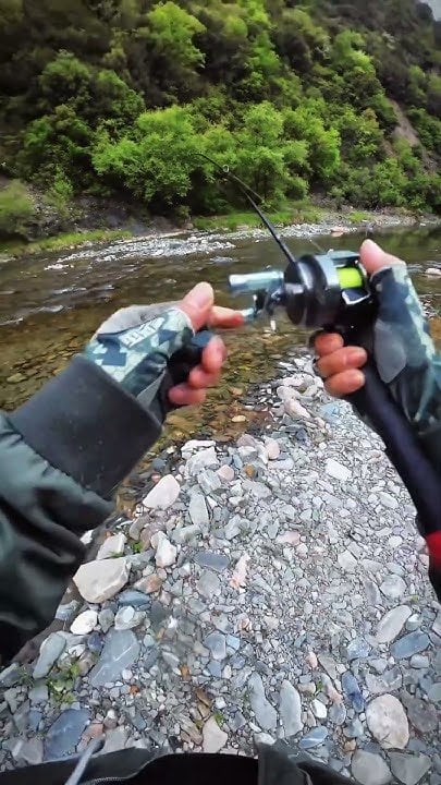 #fishing #fishingvideo #lurefishing #flyfishing