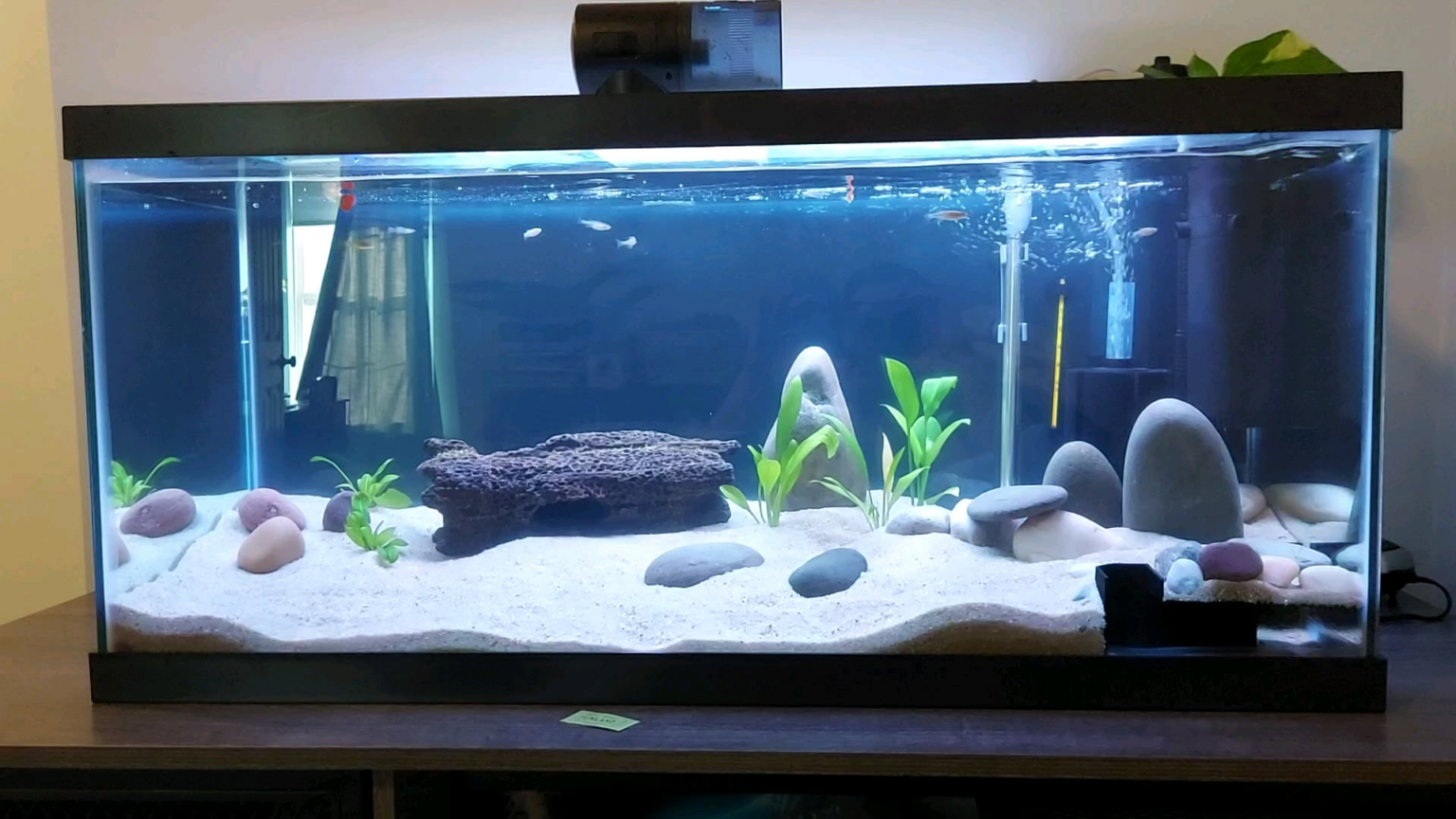 40 gallon