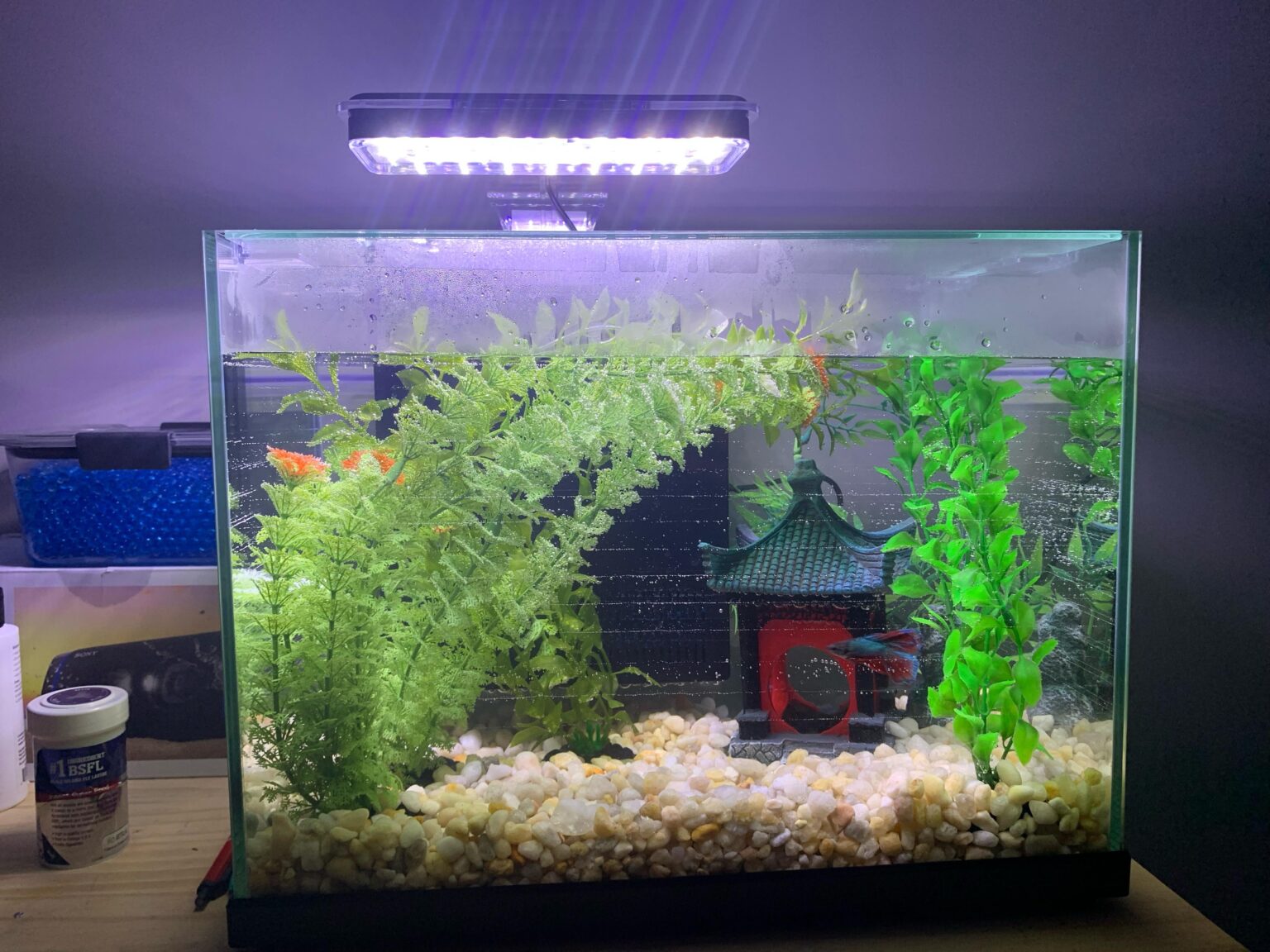 Rate my bettas first tank and should I add anything?