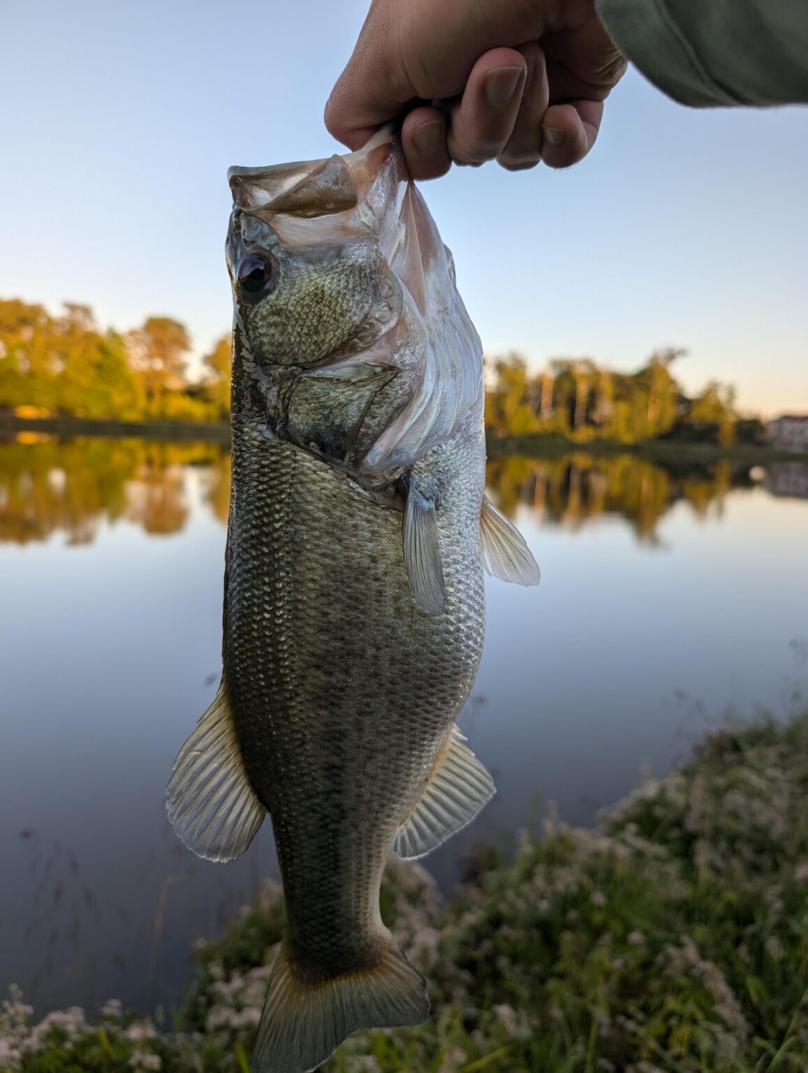 Second time fishing since I was a kid! I'm starting to enjoy this now.