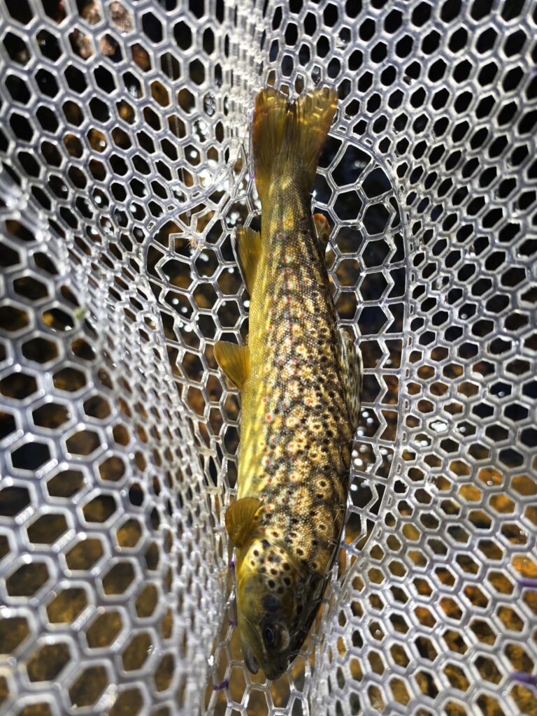 PSA: Do Not Buy Fenwick Fishing Products PSA: Do Not Buy Fenwick Fishing Products