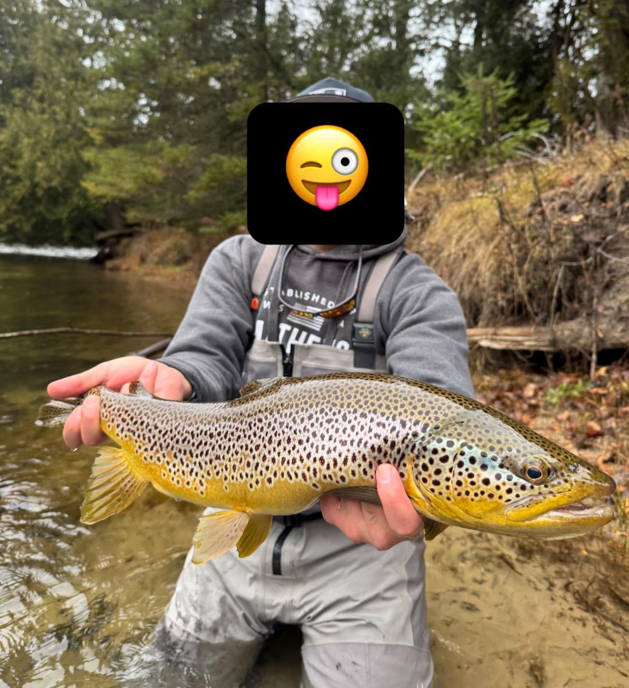 Is this a good size brown trout? - Flake Food