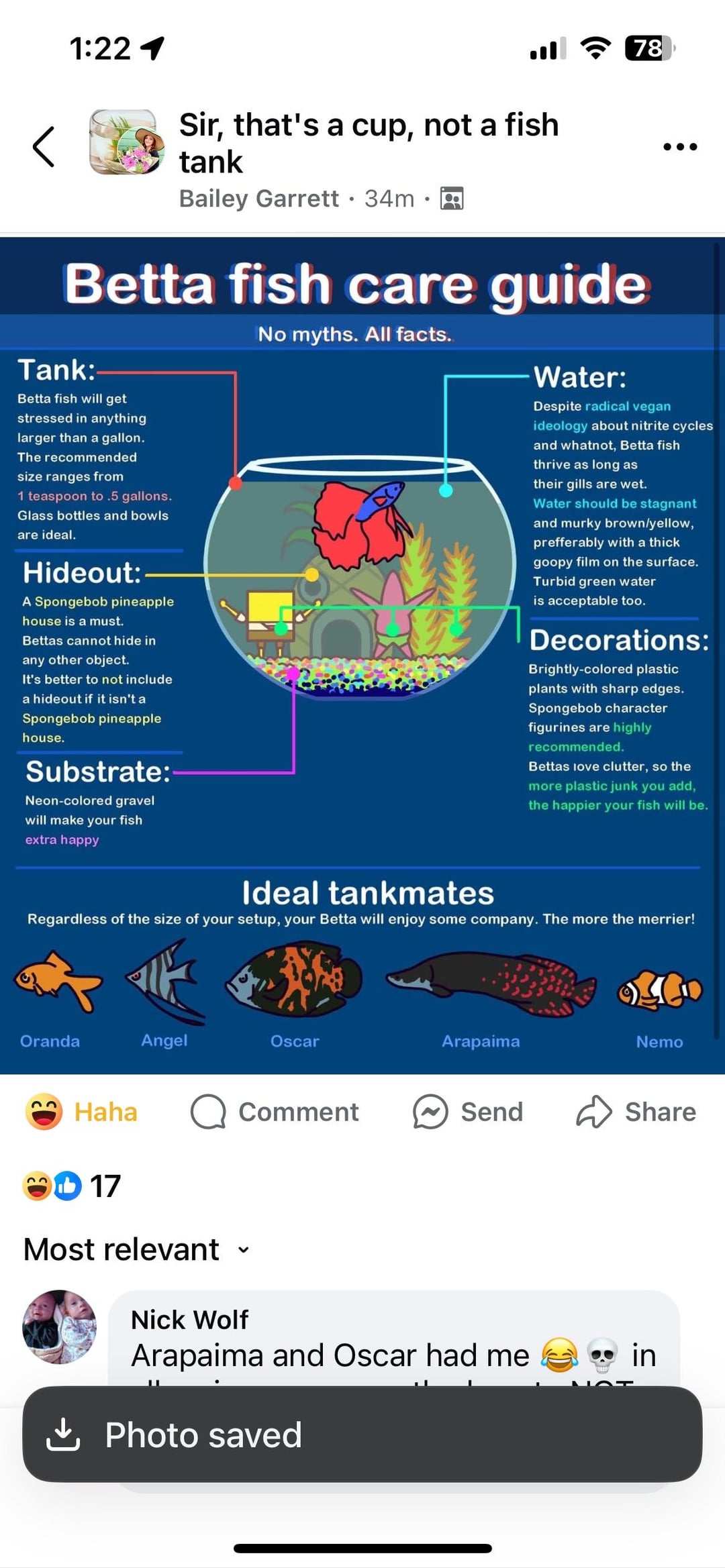 Betta Fish: Saw this in a group where we roast undersized fish tanks ...