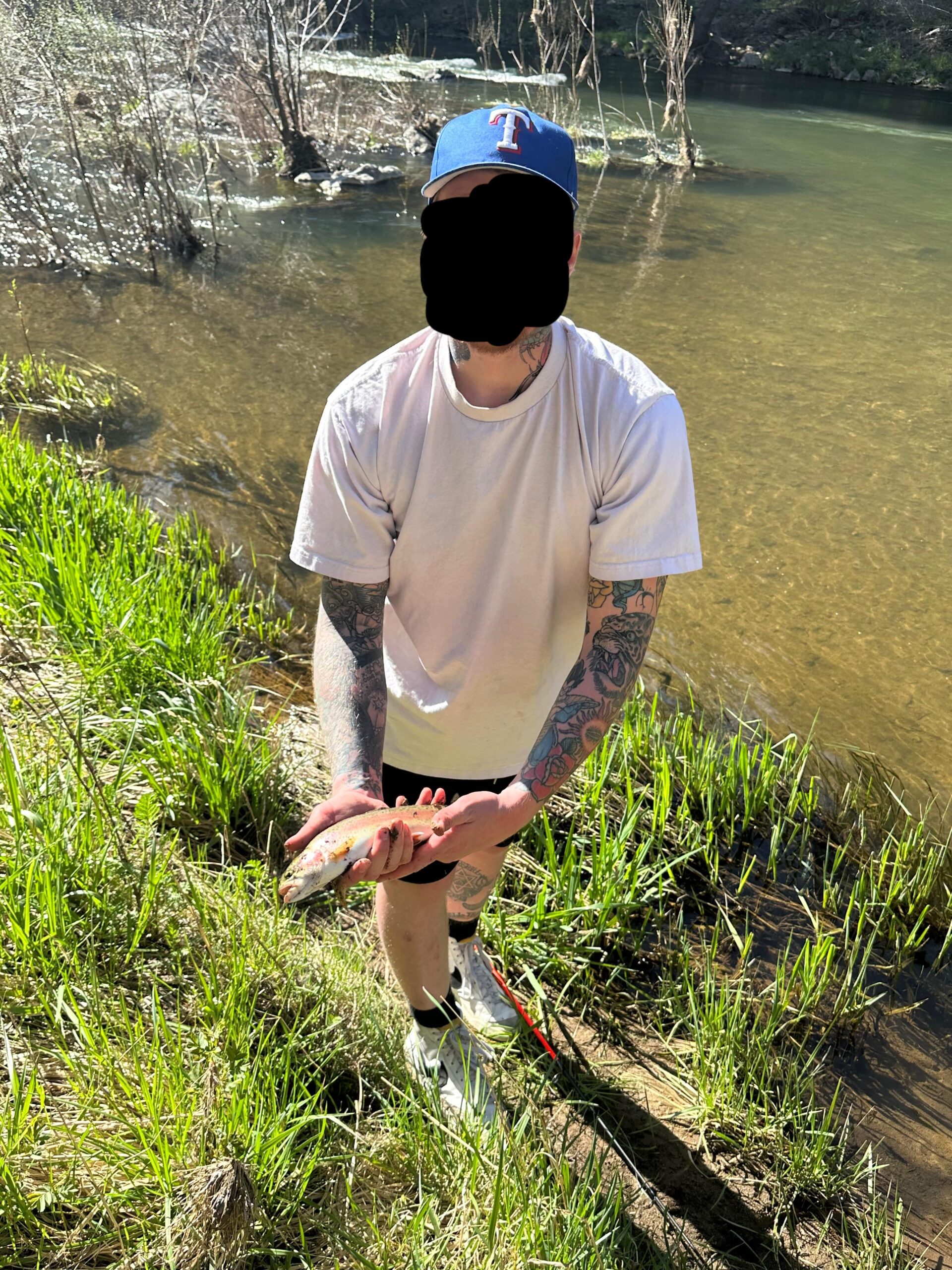 Not a beginner, but total novice when fishing for Trout - Flake Food
