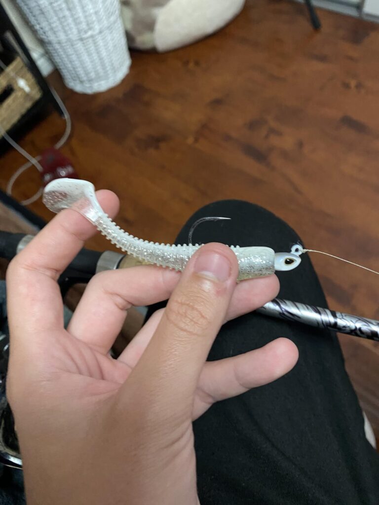 Is this hook too bug for this shudder?