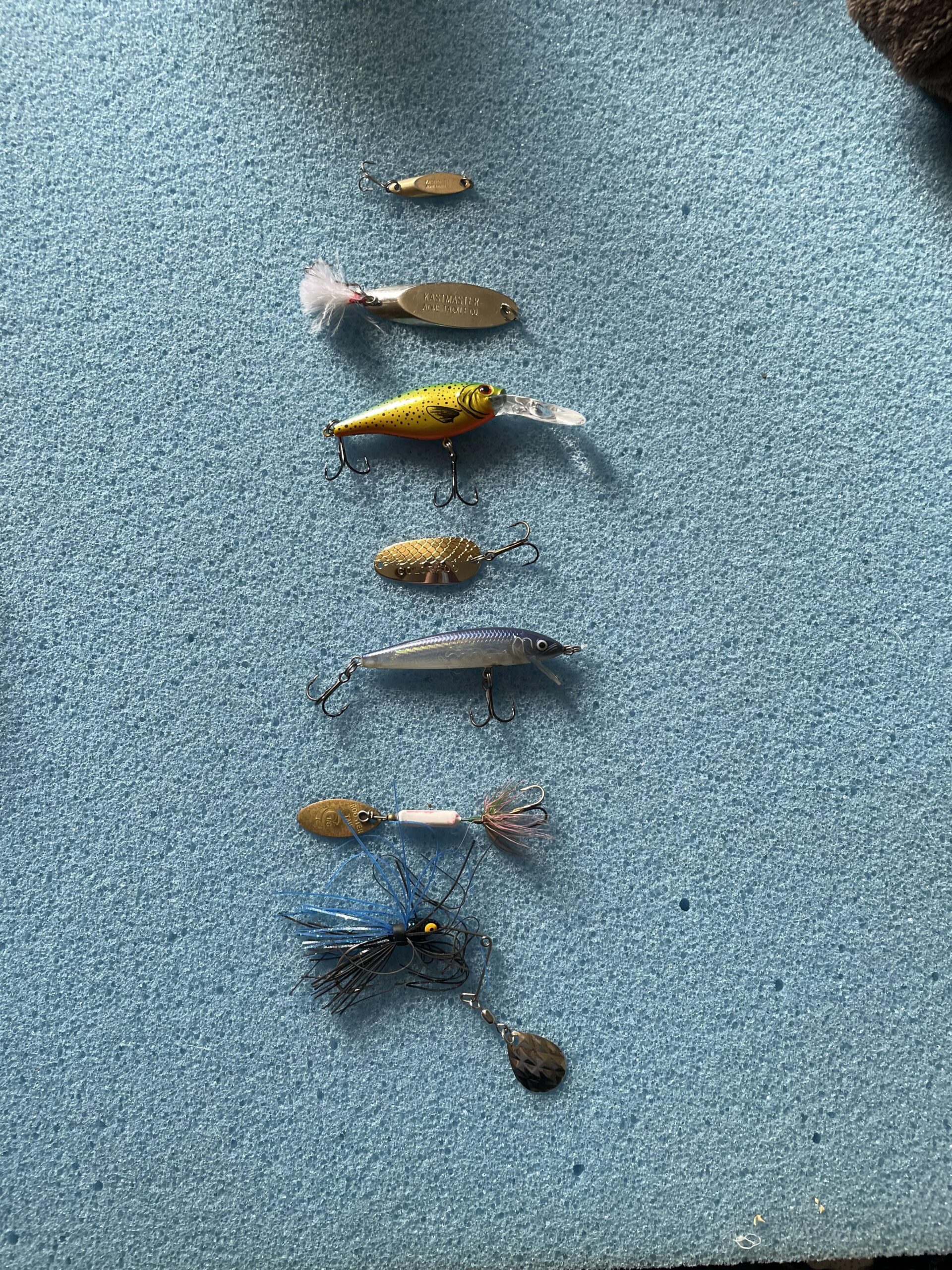 Rep Fish Do I have anything here that I could use in the Dominican Republic ...
