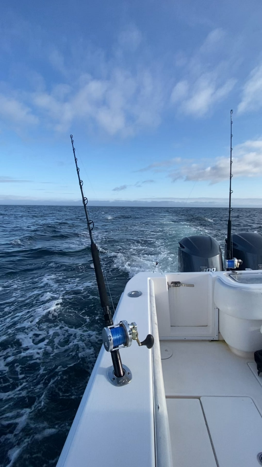 Caught a BFT smack and strike on camera yesterday