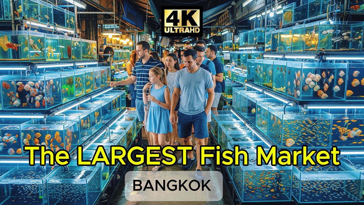 View of These Are the Largest Aquariums on the Planet (Including One With ...
