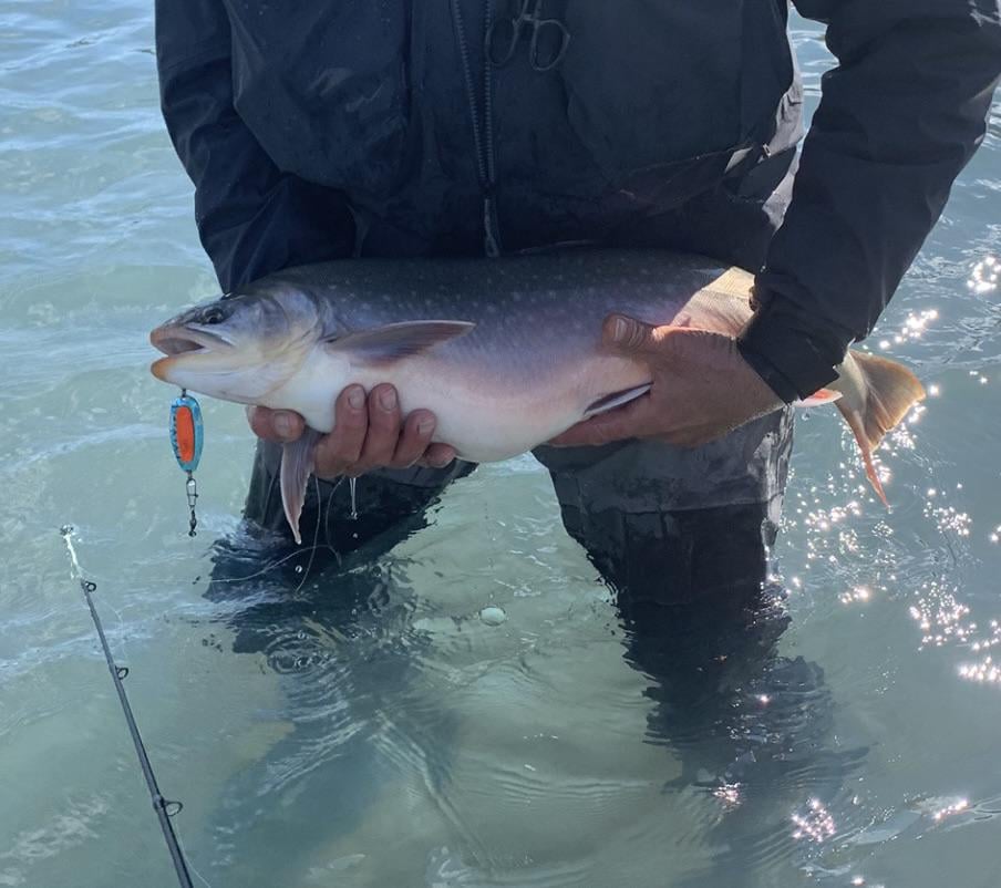 Good rods and resources for beginners? - Flake Food