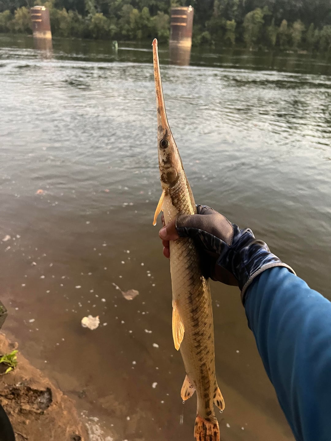 Gar Rope Fly Bass fishing has been slow for me so picked up a rope lure off eBay and ...