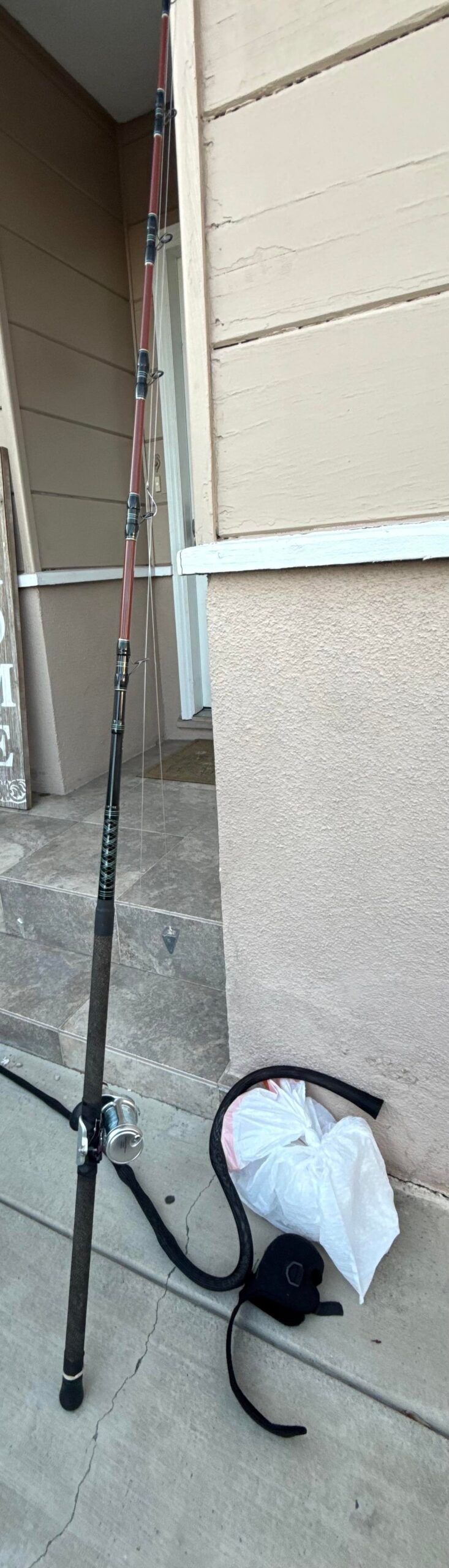Helper Rod I started about 6 months ago and I love it - Flake Food