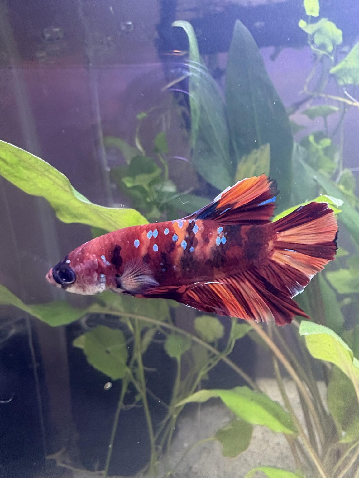 Male or female? And name suggestions!