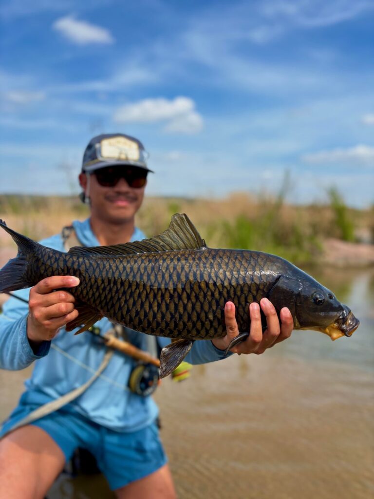 Got into my first couple of carp and I think I get it.