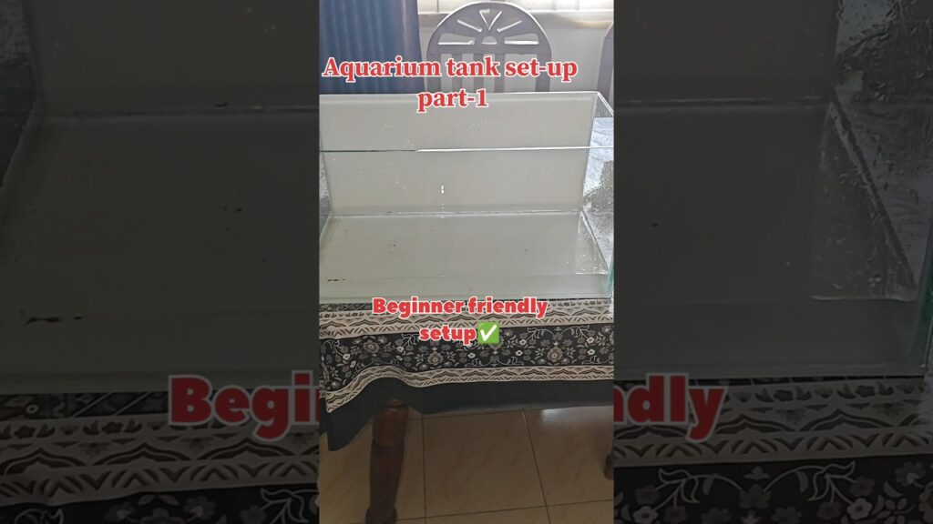 😍Aquarium tank set-up Part-1[Day-18] beginner tank#fish #aquarium #2026 #tanksetup #30daychallenge