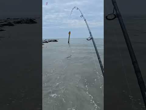 Loving these jetties #fishing #surffishing #july4thweekend #summer #flounderfishing #atlanticcity