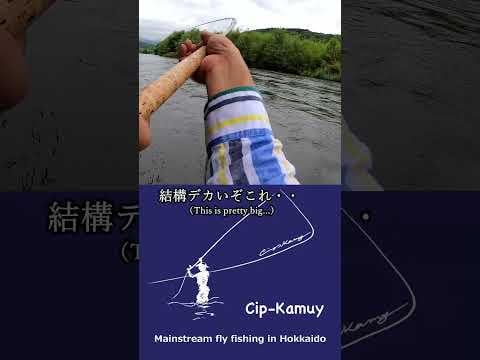 北海道の本流フライフィッシング　ダイジェスト・ショート　Vol.１５ #フライフィッシング#flyfishingguide#speyfishin...