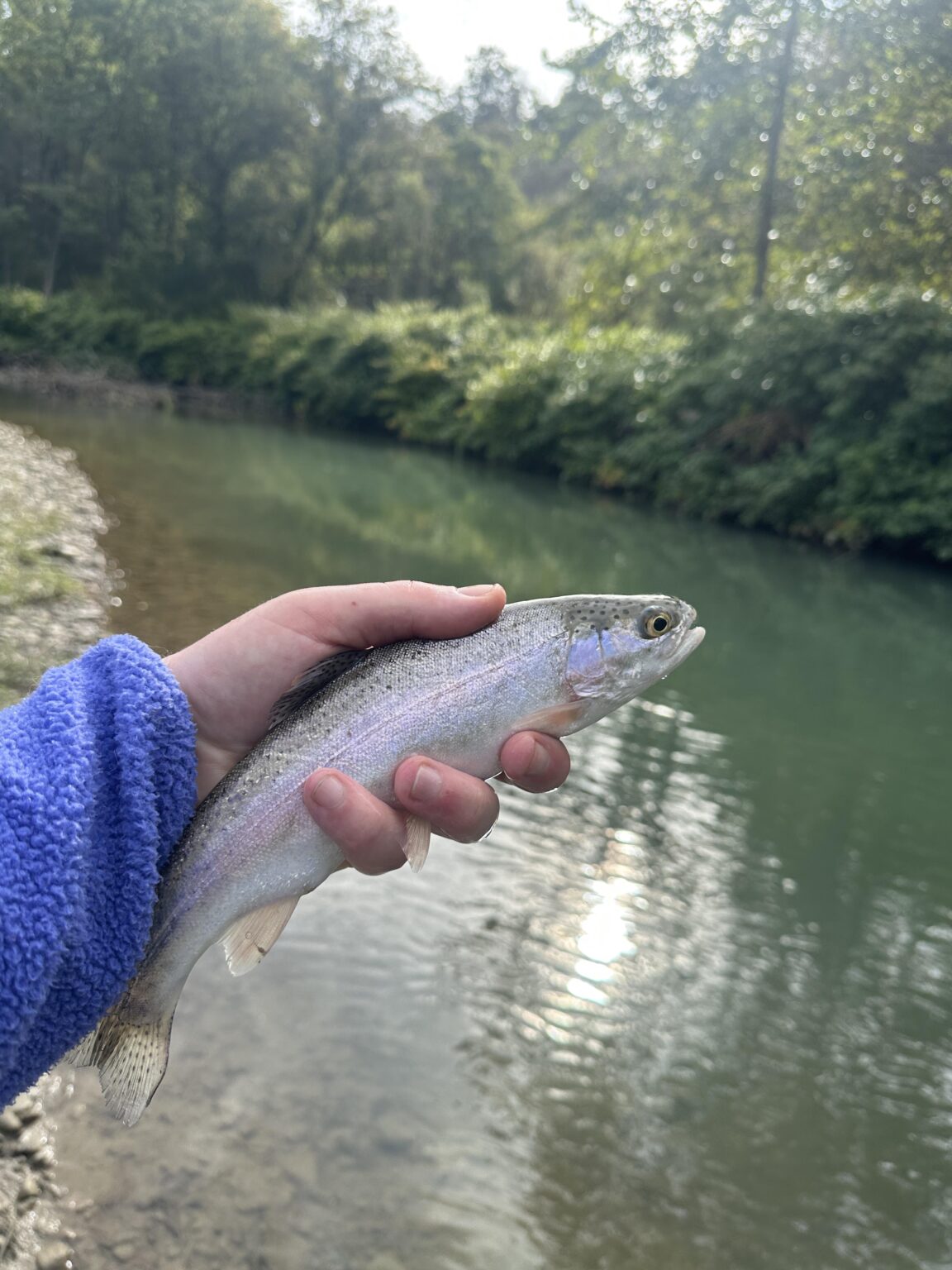 Got my first WNY Rainbow