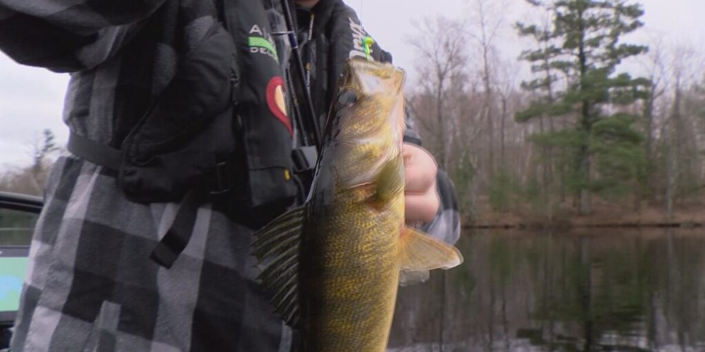 Minnesota health officials issue new guidelines for eating fish caught in northeast Minnesota Minnesota health officials issue new guidelines for eating fish caught in northeast Minnesota